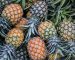 organic-blog-3